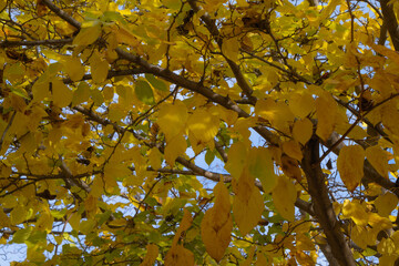 Paisaje de oto&ntilde;o