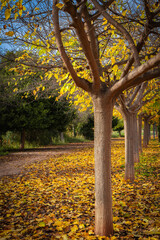 Paisaje de oto&ntilde;o