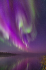 Fototapeta premium Yellowknife, Canada - September 23, 2025: North lights with a lake in the background