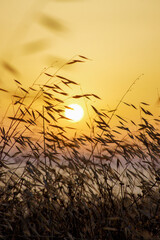 Obraz premium Sunset over the sea