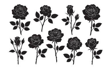 Rose Flower Blossom Silhouette Nature Set