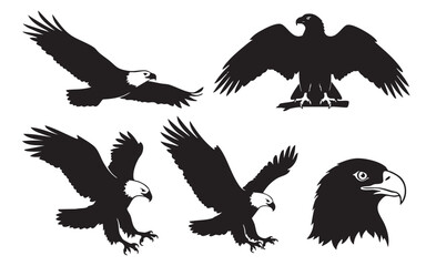 Flying Eagle Bird of Prey Silhouette Set