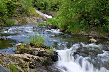 small waterfall in the forest