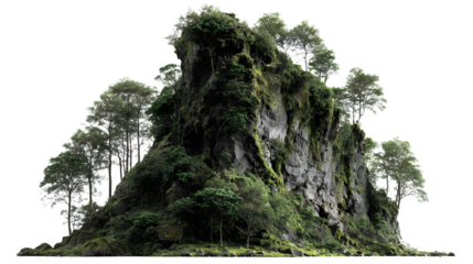 Majestic moss-covered tropical rock formation with tall trees isolated on a black background for stunning visual design