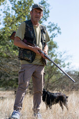 A hunter with a gun and his pet dogs. A spaniel and a german wirehaired pointer drathaar in search of a pheasant.
