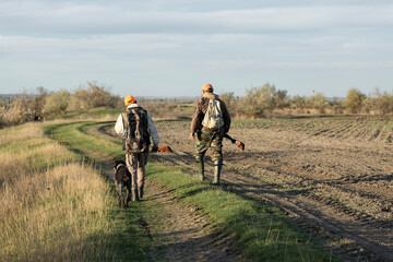 A hunters in camouflage clothing with a gun in his hands walks along the reeds.