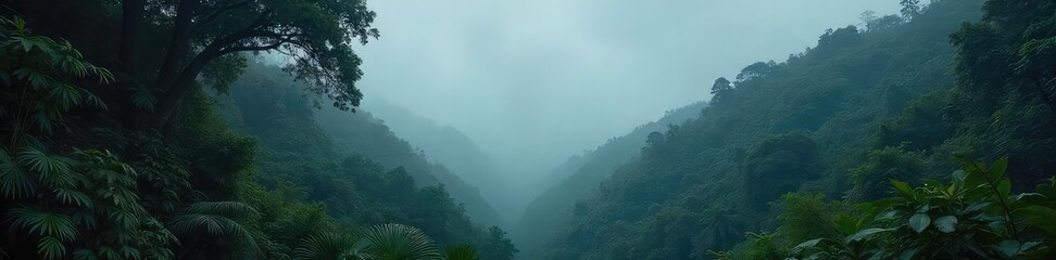 Mysterious, moody rainforest scene in shades of grey  Overcast sky, lush vegetation, and a sense of quiet depth  Perfect for nature, travel, or atmospheric backgrounds ,  tropical,  serenity
