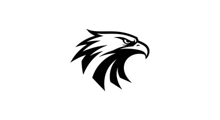 Obraz premium Adobe Illustrator Artwork