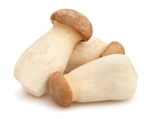 king oyster mushroom path isolated on white