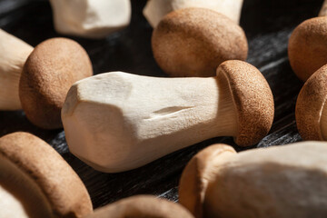 king oyster on black wood background