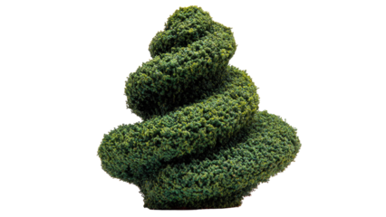 Spiral Topiary Tree, Isolated