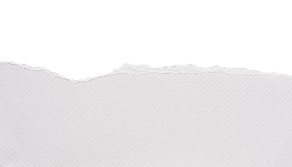 Papel con textura rasgado blanco sobre fondo blanco, recurso gr&aacute;fico