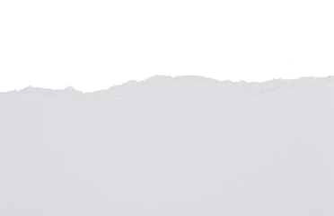 Papel rasgado blanco con textura sobre fondo blanco, recurso gráfico