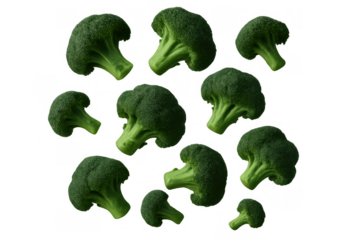 Fresh green broccoli florets flying and falling as healthy vegetable food ingredients on transparent background