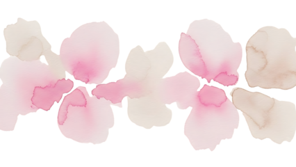 Soft pink and white flower petals on a transparent background