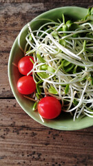 sunflower sprout in green ceranic blow  on old wood table kitchen