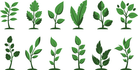Fototapeta premium Vector set of green plants featuring natural leaf icons and floral foliage elements for eco-friendly spring design