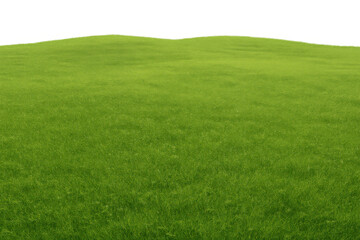Naklejka premium Green grass field with rolling hills and a transparent background portraying growth and nature
