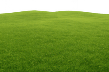 Green grass field with rolling hills and a transparent background portraying growth and nature