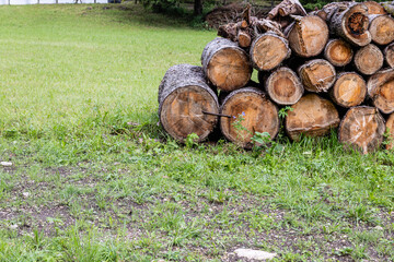 Stacked Wooden Logs