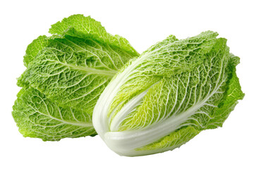 Fresh napa cabbage heads isolated on transparent background. Fresh napa cabbage heads isolated for healthy cooking isolated on white background.