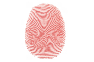 Red fingerprint showing unique human identification for security, forensics, and biometric access control on transparent background