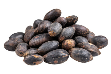 Obraz premium Pile of dried jatropha curcas seeds isolated on transparent background. Pile of freshly harvested dark jatropha curcas seeds isolated on white background.