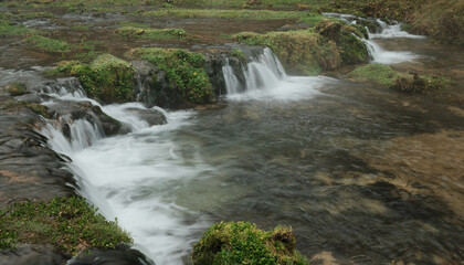 Fototapeta premium Small cascading waterfalls flowing over moss covered rocks form a calm natural scene that reflects freshness, balance, and continuous movement in a pristine river environment.