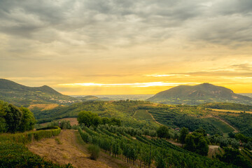 Warm Italian hill landscape toward Arqua Petrarca in Colli Euganei with green grapevines in valleys with morning sun shining through clouds