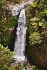 Fototapeta premium Waterfall in the mountain in Indonesia