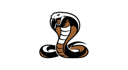 Fototapeta premium Adobe Illustrator Artwork