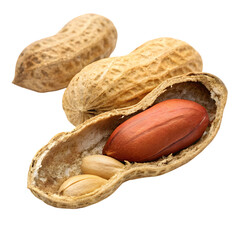 peanuts, a single peanut isolated on a white background