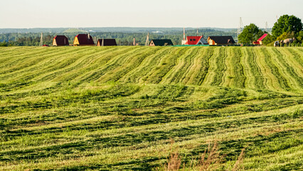 A lush, well-kept field with neat rows of grass leads to colorful village houses on the horizon. A tranquil summer rural landscape, perfect for themes of agriculture, farming, and country living.