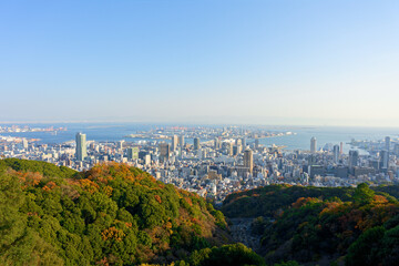 Fototapeta premium 市章山から見る神戸の街並み