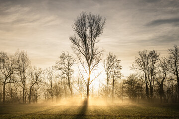 Ein Morgen zwischen Dunst und Licht © Georg Milasta