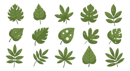 Obraz premium A collection of various green leaves with different shapes and textures, illustrating botanical diversity.