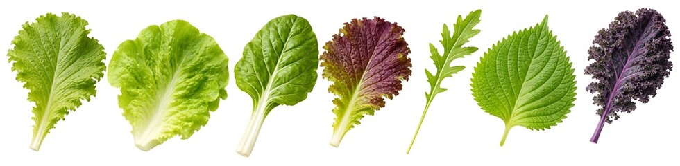 Fresh Leafy Greens Variety