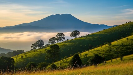Obraz premium Green rolling hills with trees and misty mountain in the background at sunrise