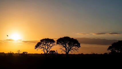 Naklejka premium Silhouettes of trees at sunset with a bird flying in the sky