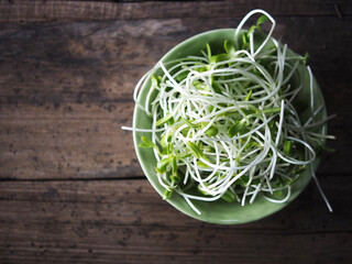 sunflower sprout in green ceranic blow  on old wood table kitchen