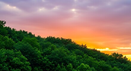 Obraz premium A vibrant sunset casts light over a lush, green hillside. The sky is a mix of orange, pink and purple hues