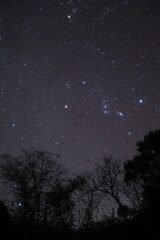 Naklejka premium night sky with clouds