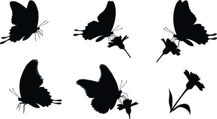 Butterfly silhouettes with flowers, black insect illustration, delicate wings design, nature art, wildlife study, floral interaction, pollination concept, decorative pattern, garden theme © It's Sohan Here