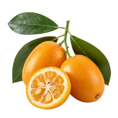 Fresh Kumquat Fruits on Branch with Green Leaves and Sliced Half