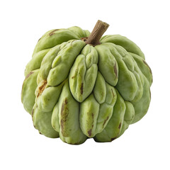 Fresh Whole Green Custard Apple or Sugar Apple Fruit Isolated on White Background