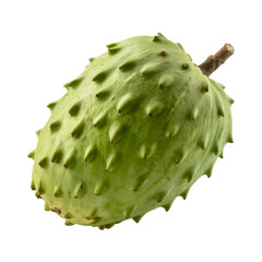 Fresh Whole Green Soursop Fruit with Prickly Skin Isolated on White Background