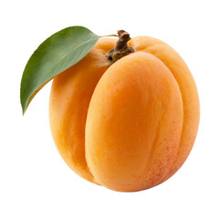 Fresh Whole Ripe Apricot Fruit with Green Leaf Isolated on White Background