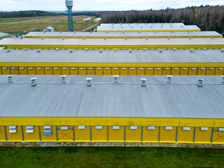 Modern agro-industrial complex top view. Flying a drone over a large chicken farm, raising broiler chickens for meat. Rows of chicken coops and silver grain silos. © Pokoman