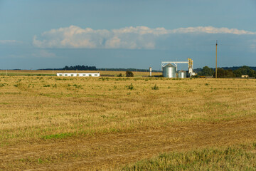 A large modern plant located near a wheat field for the storage and processing of grain crops. view of the granary illuminated by the light of the setting sun against the blue sky. harvest season.