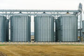 A large modern plant located near a wheat field for the storage and processing of grain crops. view of the granary illuminated by the light of the setting sun against the blue sky. harvest season.